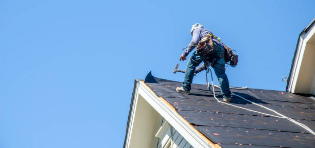 Best Commercial Roofing Services  in Dunedin, FL